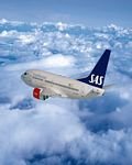 pic for Scandinavian Airlines